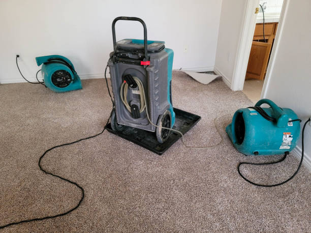 Best 24/7 water damage repair  in Sparta, IL
