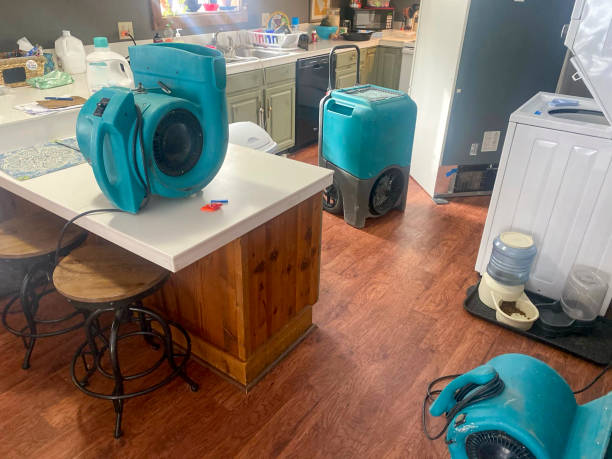 Best Flood damage cleanup  in Sparta, IL