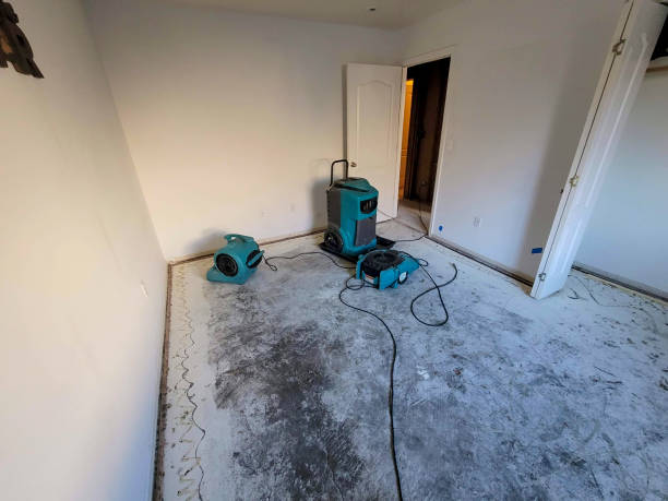 Best Water damage restoration near me  in Sparta, IL