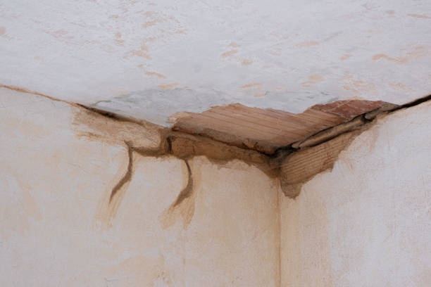 Best Water damage restoration near me  in Sparta, IL