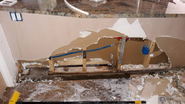  Sparta, IL Water damage restoration Pros