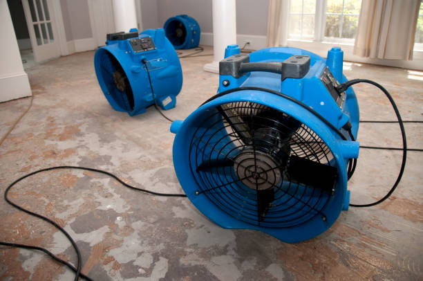 Trusted Sparta, IL Water damage restoration Experts