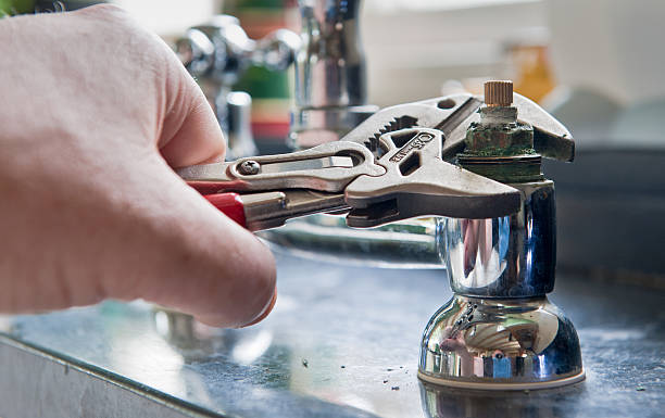Best Flood damage cleanup  in Sparta, IL
