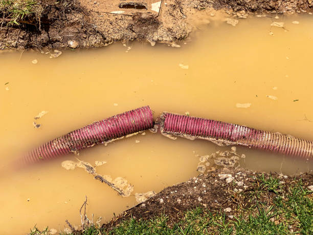 Water damage restoration insurance claims in Sparta, IL
