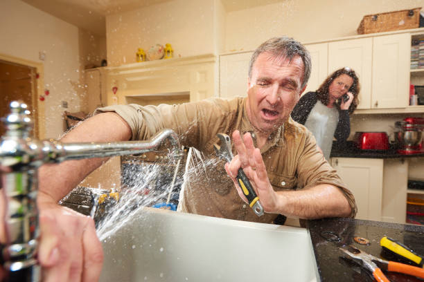 Best Local water damage restoration  in Sparta, IL